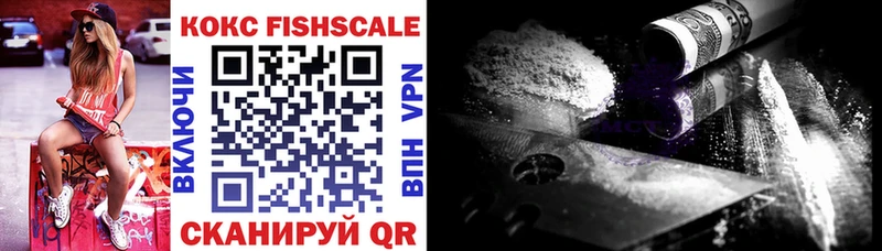 Кокаин Fish Scale  mega ССЫЛКА  Прохладный  где найти  