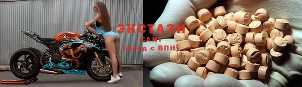 прущие грибы Михайлов