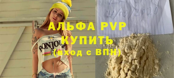 прущие грибы Михайлов