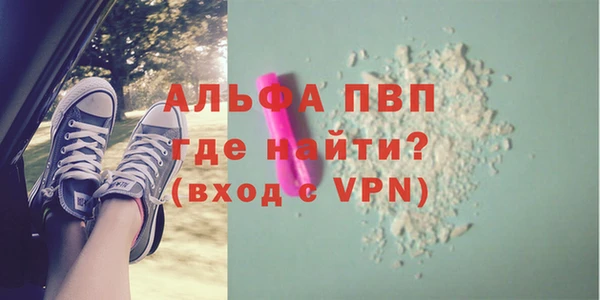 прущие грибы Михайлов