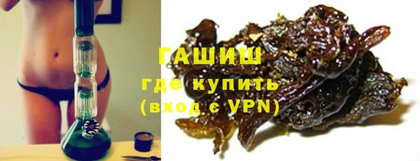 прущие грибы Михайлов