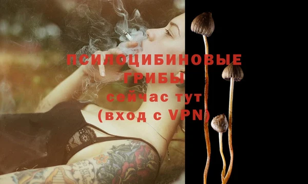 прущие грибы Михайлов