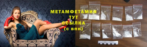 прущие грибы Михайлов