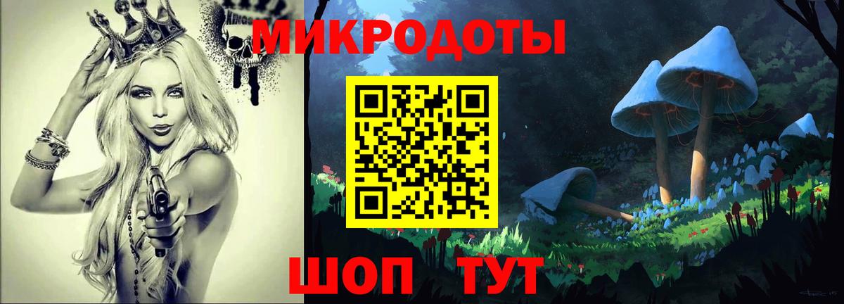Псилоцибиновые грибы прущие грибы  Прохладный  Псилоцибиновые грибы Psilocybe 