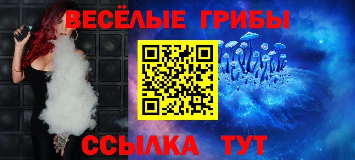 Псилоцибиновые грибы Psilocybe Прохладный
