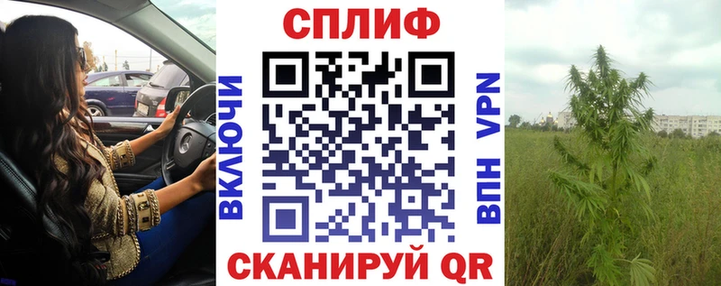 хочу Прохладный Конопля семена