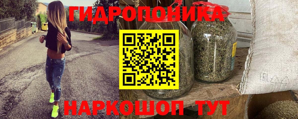 Бошки Шишки план  Вход с VPN  Бошки Шишки индика  Прохладный  Конопля тримм 